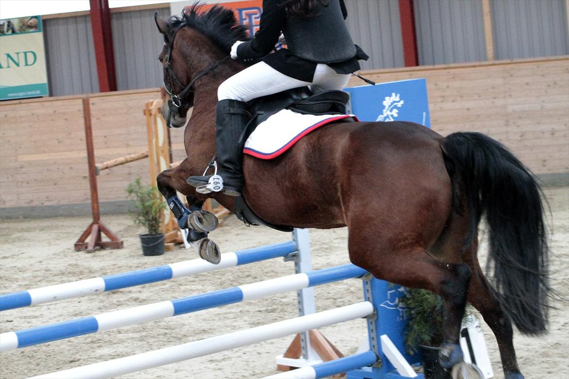 FØRSTE C-STÆVNE MED LB :D! - wow tak LB!<3 billede 59