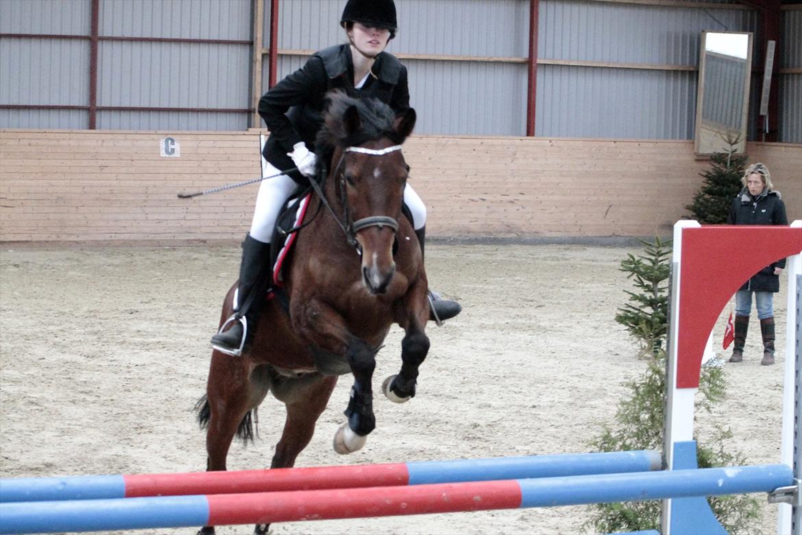 FØRSTE C-STÆVNE MED LB :D! billede 65