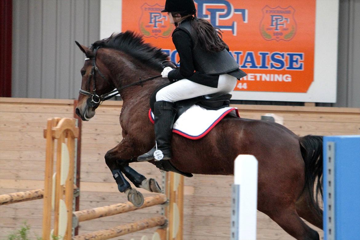 FØRSTE C-STÆVNE MED LB :D! - så bred, så sej hest! billede 67