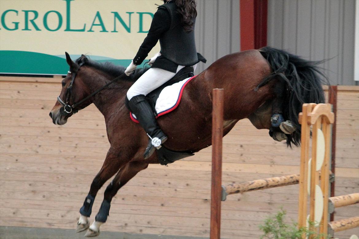 FØRSTE C-STÆVNE MED LB :D! - seje hest :D! billede 68