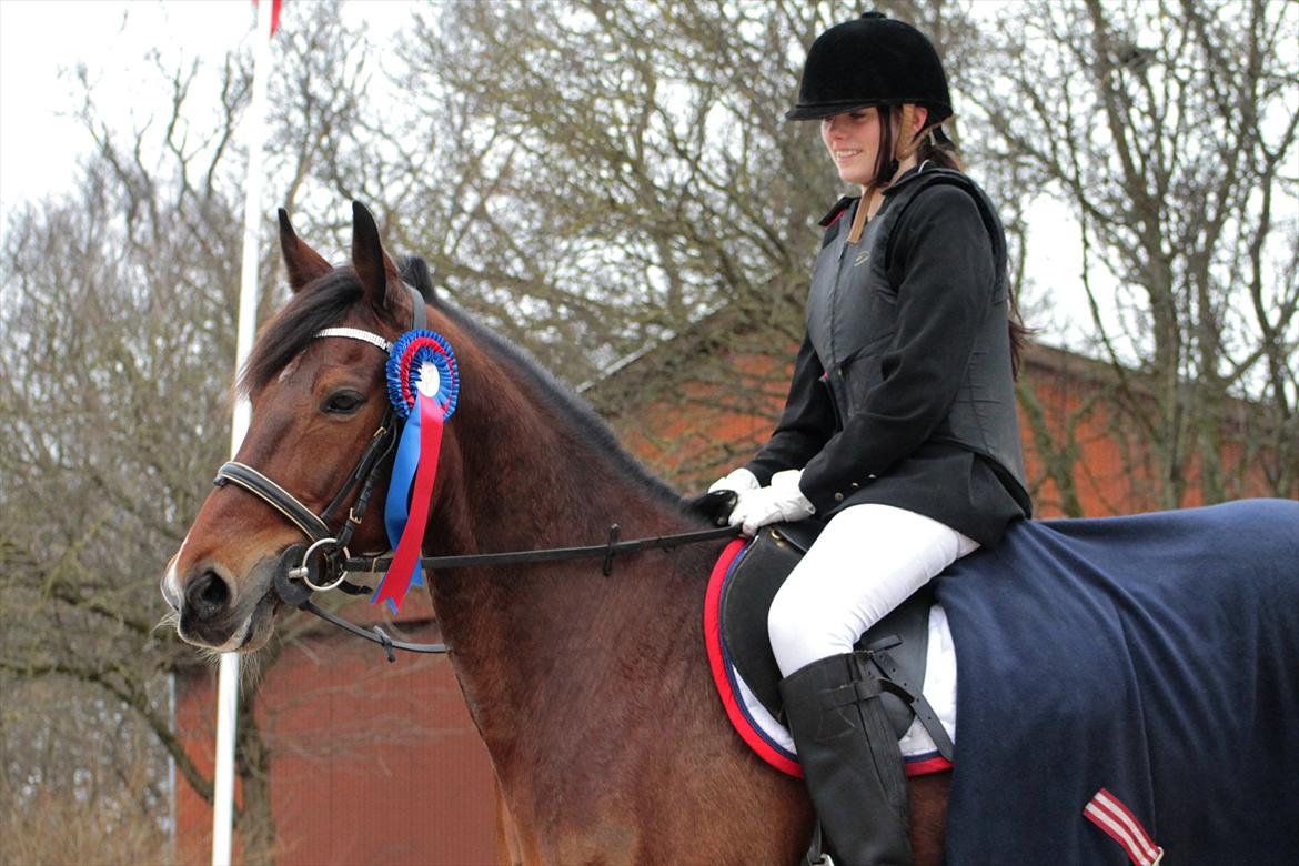 FØRSTE C-STÆVNE MED LB :D! - fejlfri :D!!!! billede 71