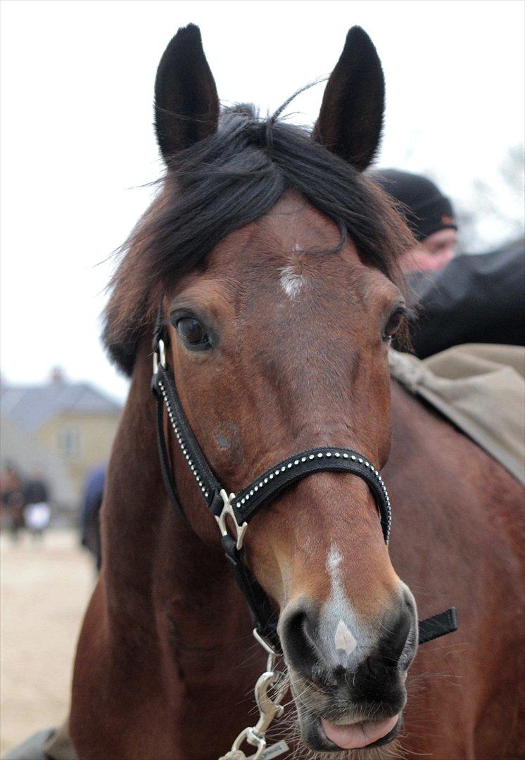 FØRSTE C-STÆVNE MED LB :D! billede 86