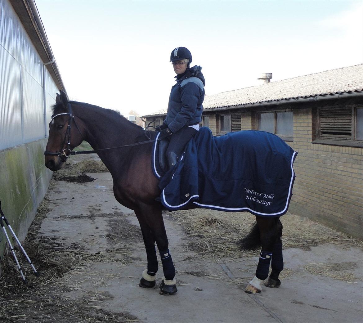 Donnewind - Sponsorrytter for Vedsted Mølle billede 2