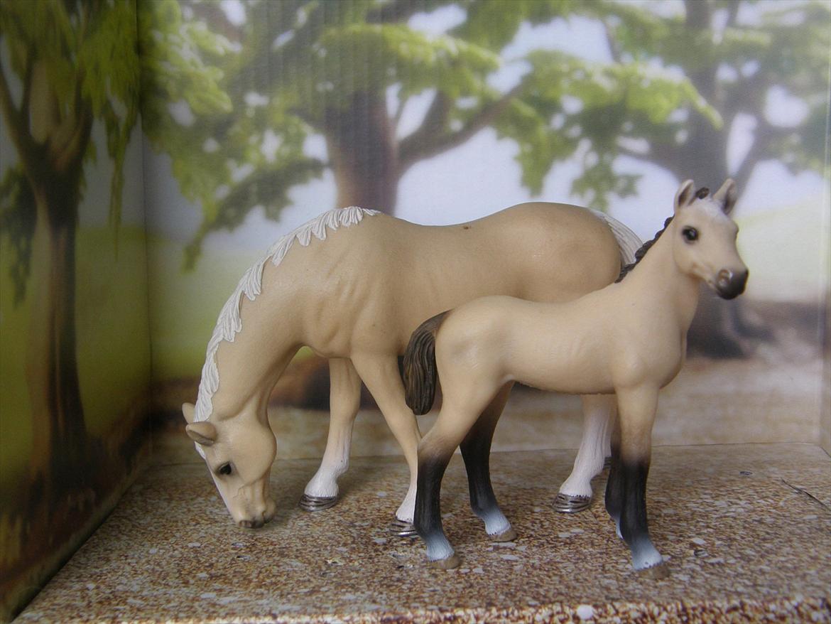 Mine Schleich Dyr - Navn: Calleigh Race: Akhal Tekiner Køn: Hoppe Alder: 7 år Navn: Hindbærgården's Wilson Race: Akhal Tekiner Køn: Hingst Alder: 2 uger Stamtavle: Mor: Calleigh Far: Wladimir billede 120