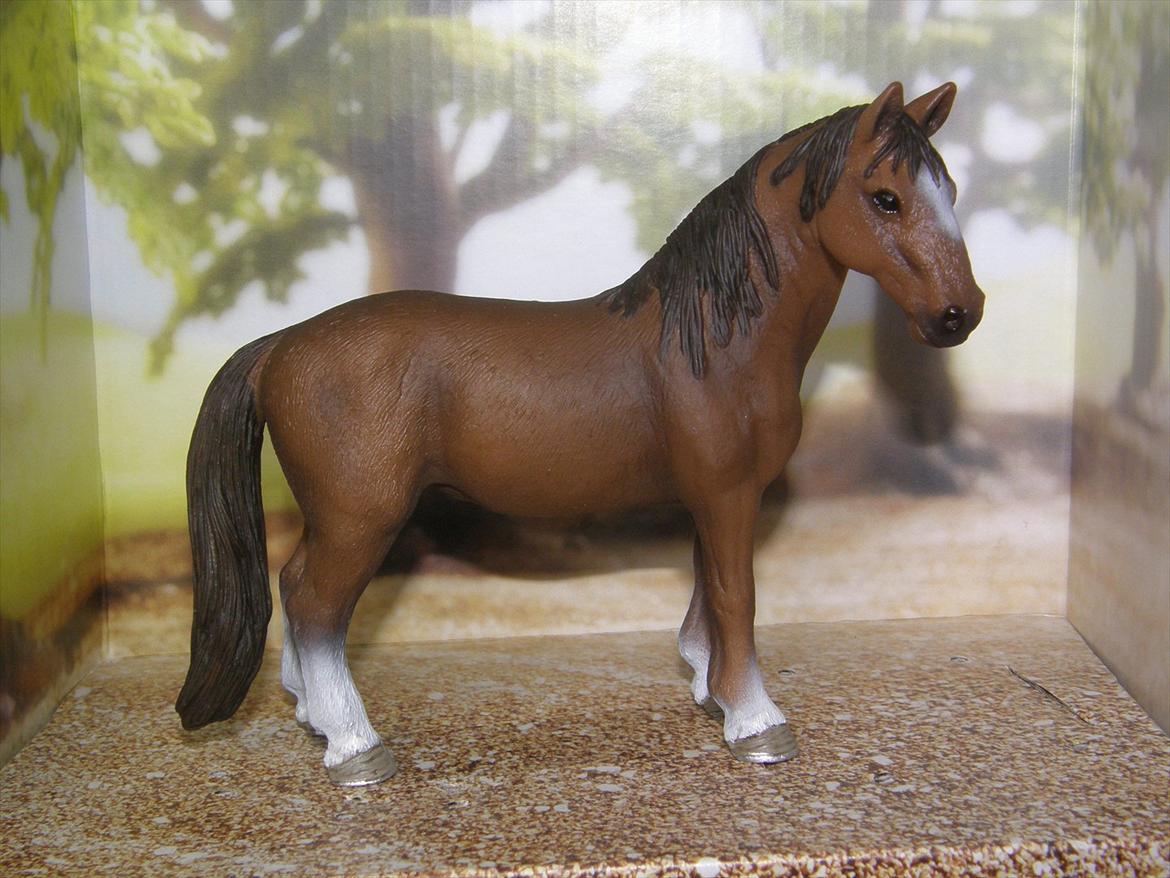 Mine Schleich Dyr - Navn: Cote DePaplo. Race: Tennessee Walker. Køn: Hoppe. Alder: 12 år billede 29