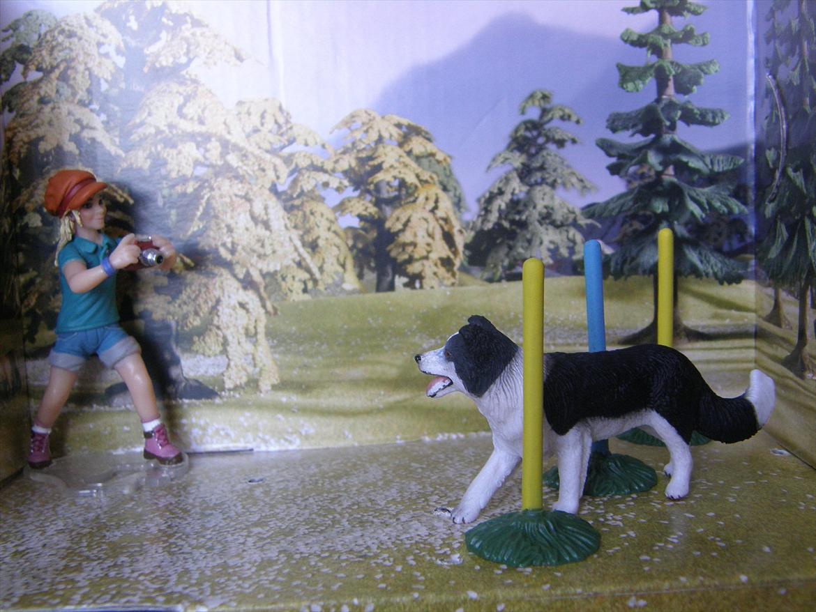 Mine Schleich Dyr - Sofia leger med og tager billeder af Izzie  billede 145