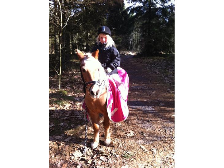 {{currentPhoto.altText}} billede {{currentPhoto.number}}