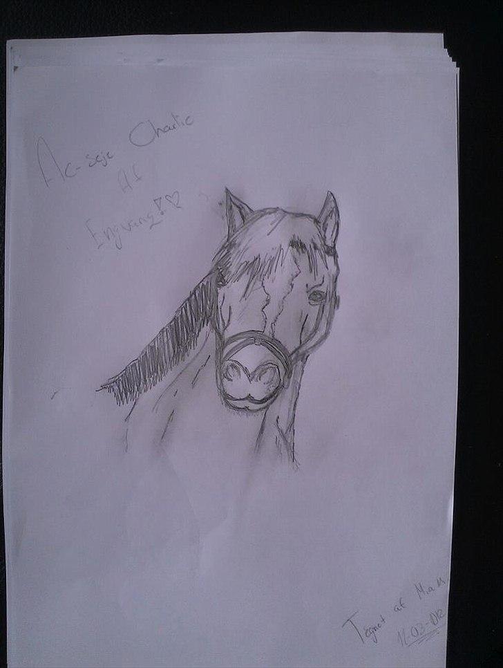 Hest jeg har tegnet. (-; - Charlie!;D<3 billede 4