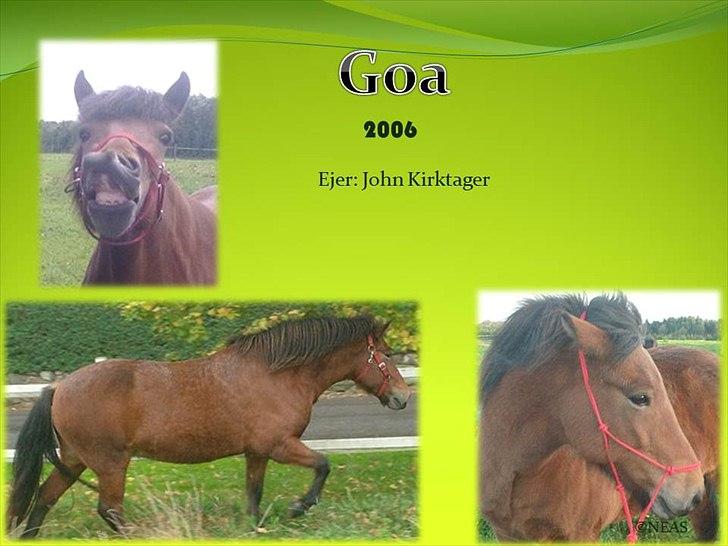 Navneskilt til jeres heste billede 60