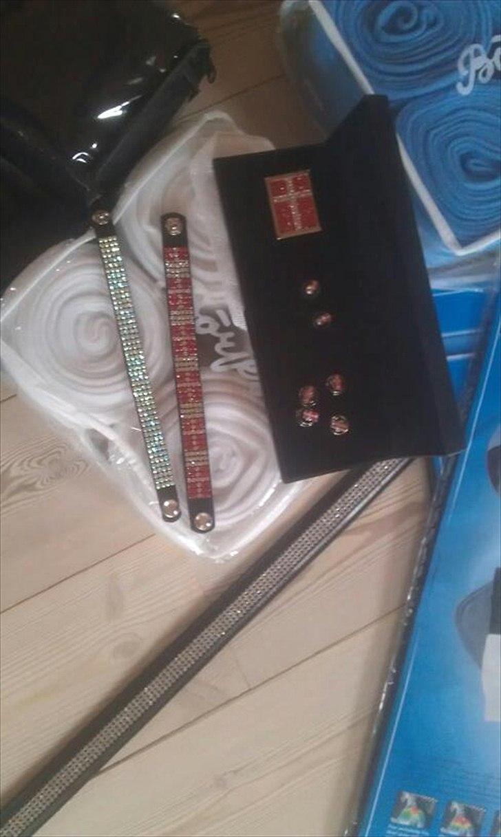 hest og rytter i herning!!  - 2 SD armbånd, øreringe og ting til stævne jakken, og bældte billede 2