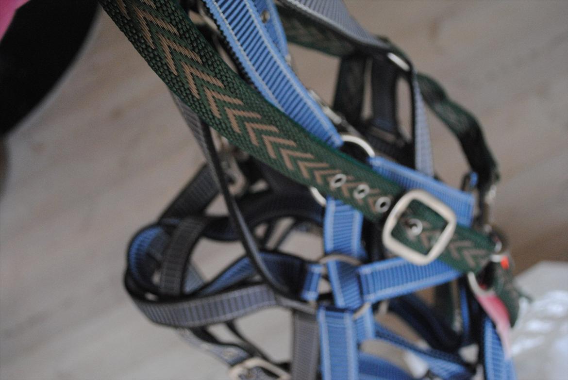 hest og rytter i herning!!  - grimmer billede 17