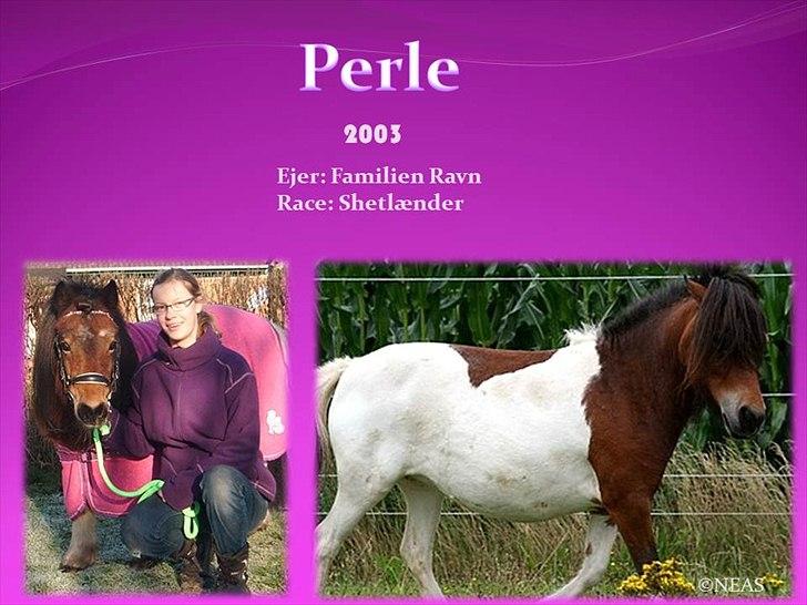 Navneskilt til jeres heste billede 67