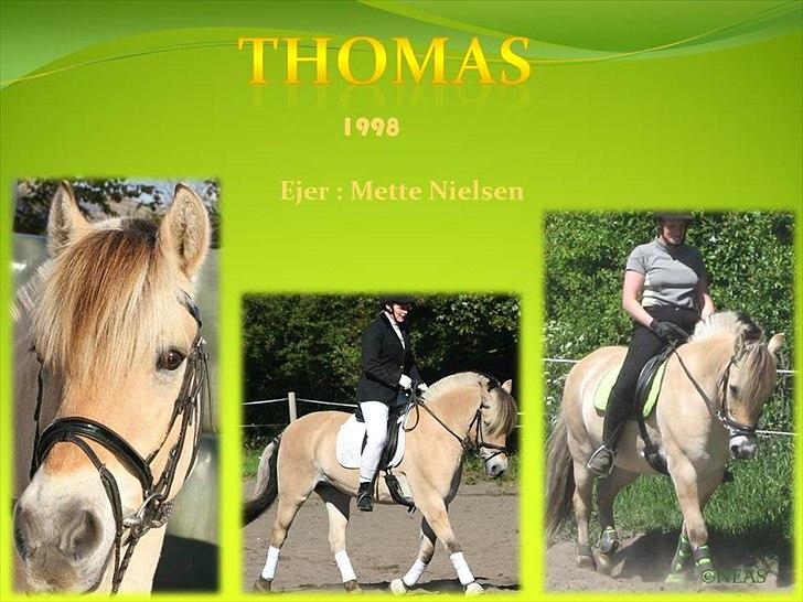 Navneskilt til jeres heste billede 70