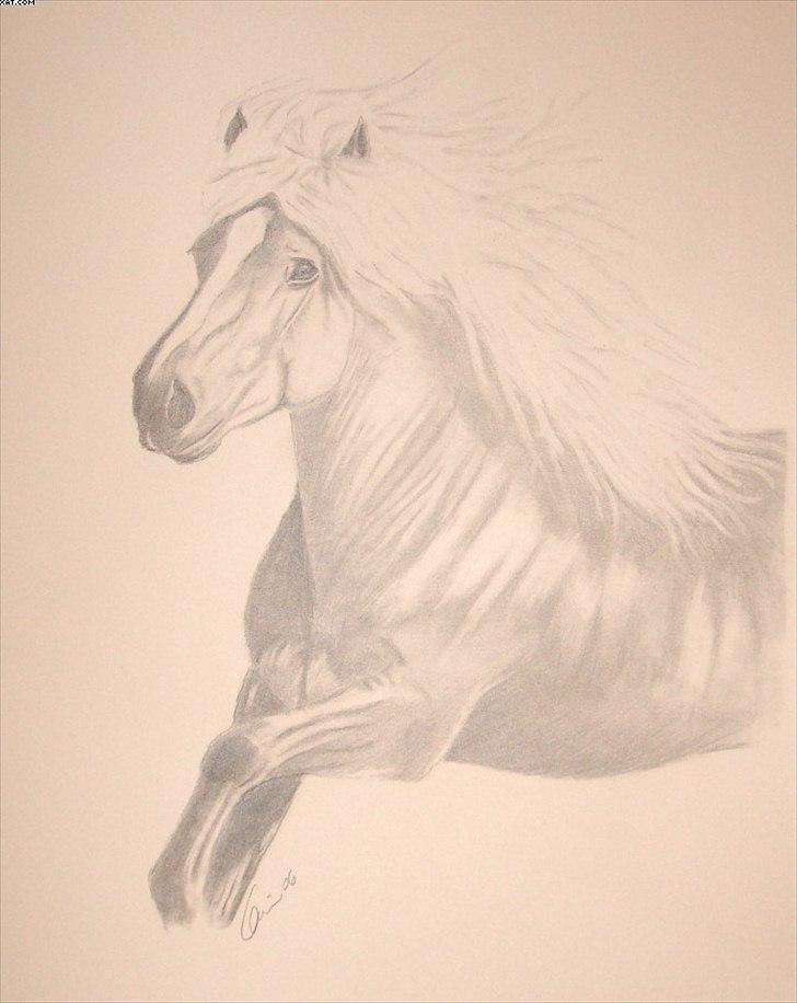 Mine tegninger - Haflinger - A4 - bortgivet billede 10