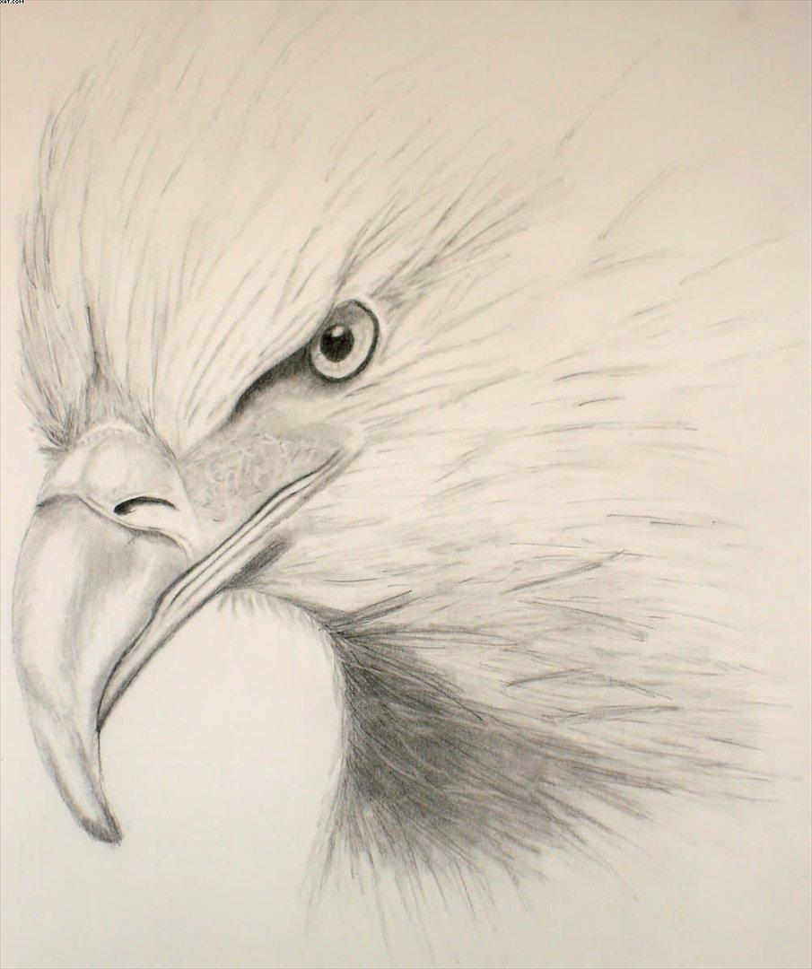 Mine tegninger - BESTILLING - Til min søsters svoger i Julegave - A3 Papir billede 12