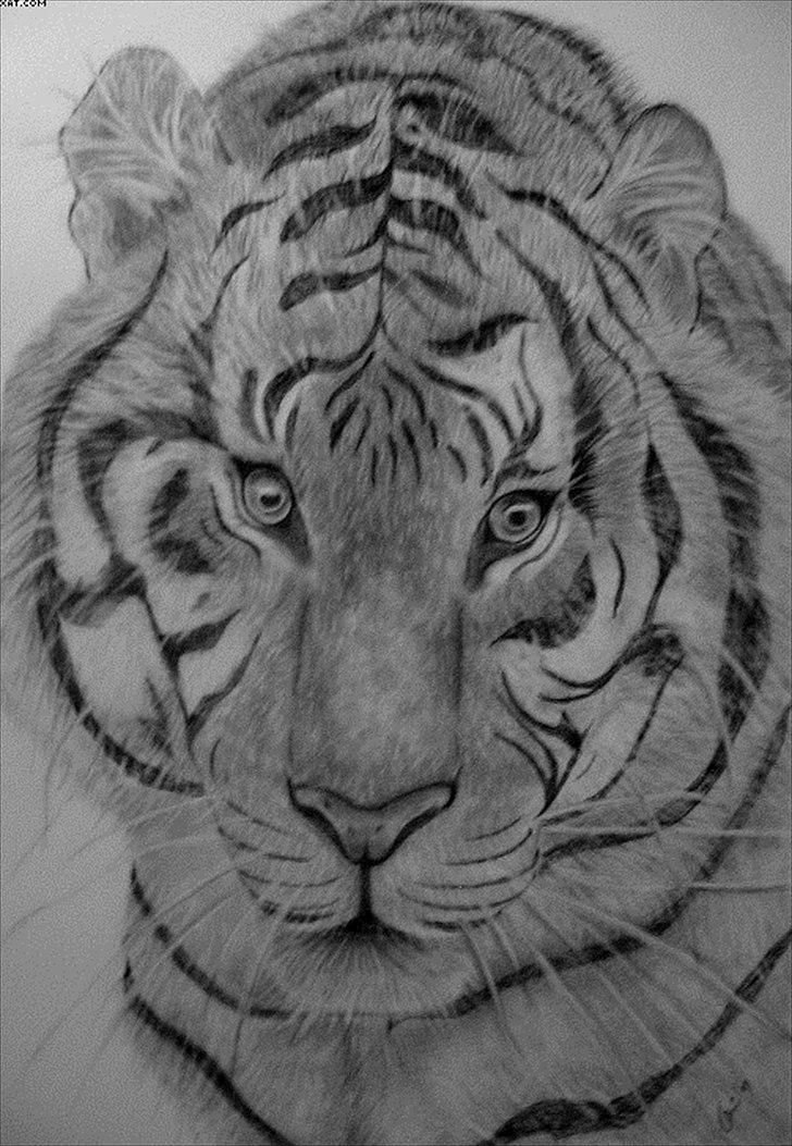 Mine tegninger - BESTILLING - min veninde bestilte dette som en fødselsdagsgave til hendes kæreste - A2 papir billede 15