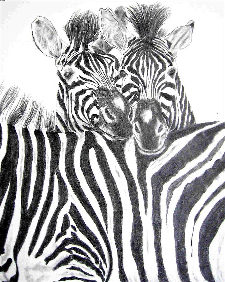 Mine tegninger - Zebra - A4 - Ikke solgt billede 17