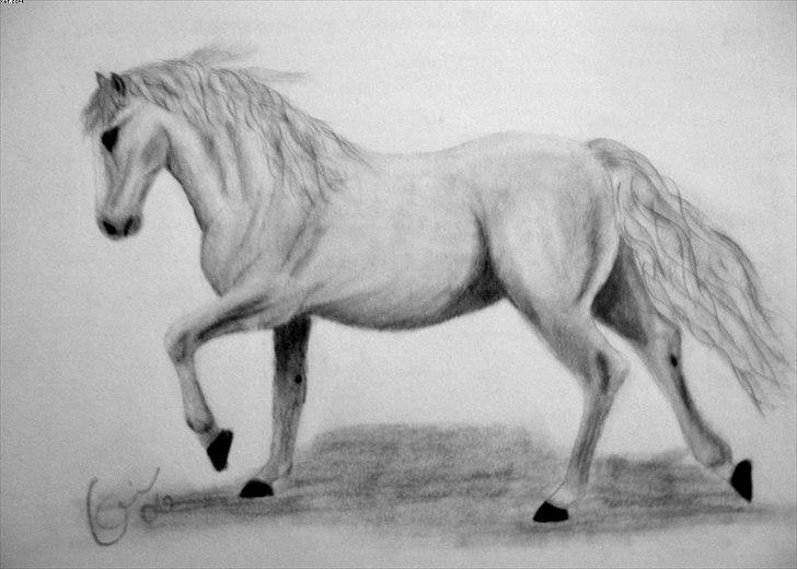 Mine tegninger - Ældre tegning - A4 ikke solgt billede 20