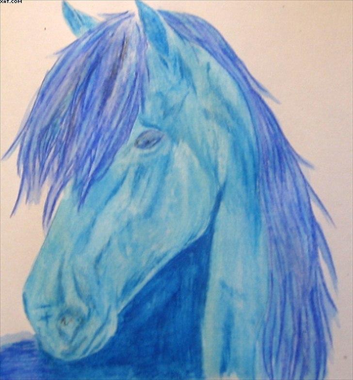 Mine tegninger - Blue Horse - lejede her med lidt akvarel farveblyanter - A4 - Ikke solgt billede 21