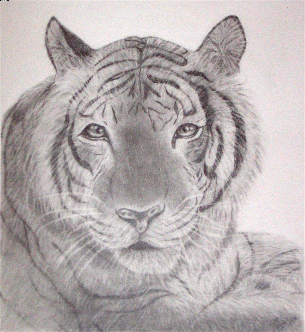 Mine tegninger - EGET - A3 Ikke til salg billede 22