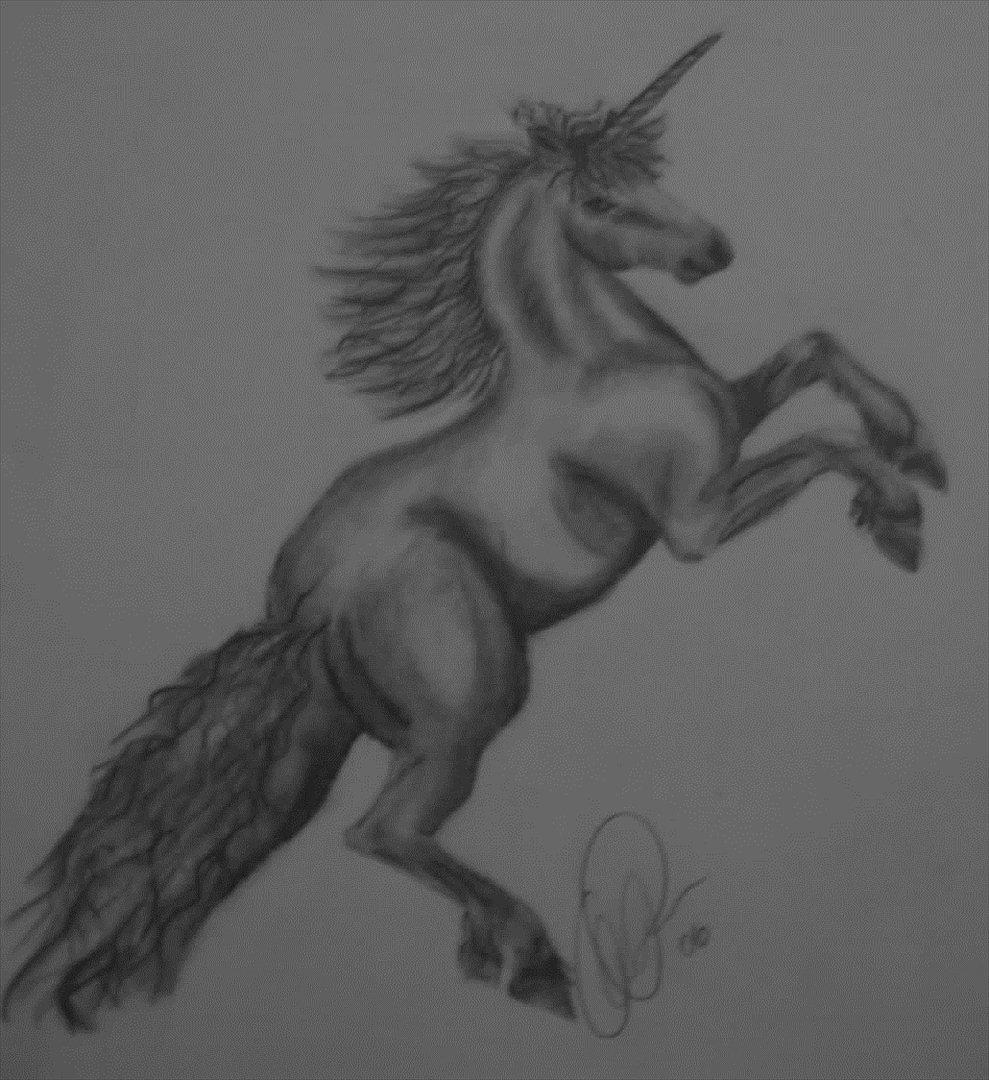 Mine tegninger - Unicorn - ældre tegning - ca A5 billede 23