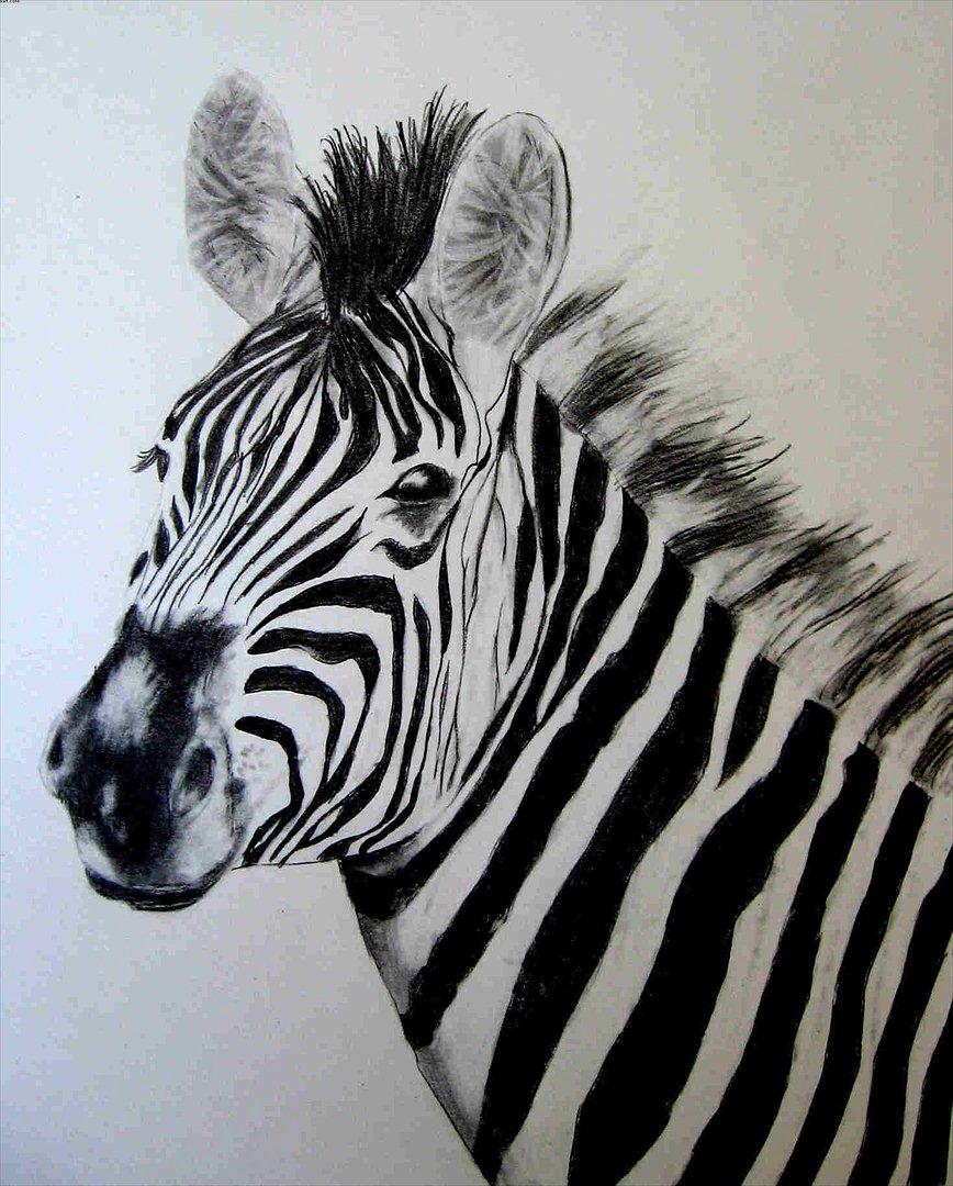 Mine tegninger - Zebra - A4 - Ikke solgt billede 24