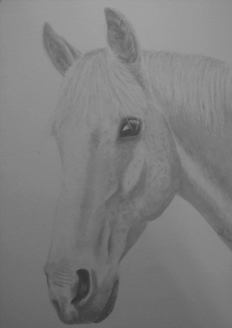 Mine tegninger - BESTILLING - endnu en venindes mor bestilte dette billede til sin datter i fødselsdagsgave - A4
lev modtaget med meget våde øjne :) billede 26