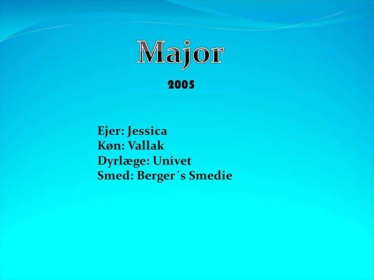 Navneskilt til jeres heste billede 74