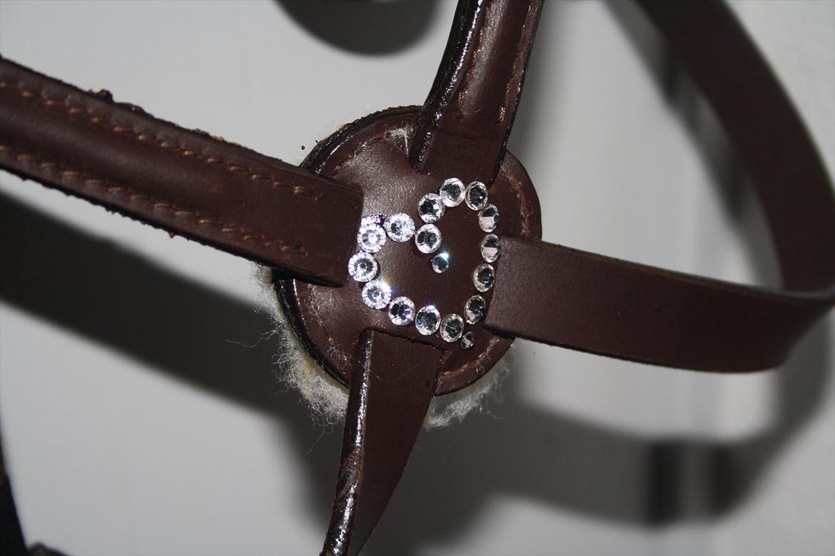 Lidt kreativt :) - på min spring kryds trænse :) billede 3