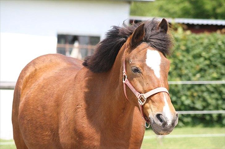 Billeder lavet/redigeret i Photoshop billede 9