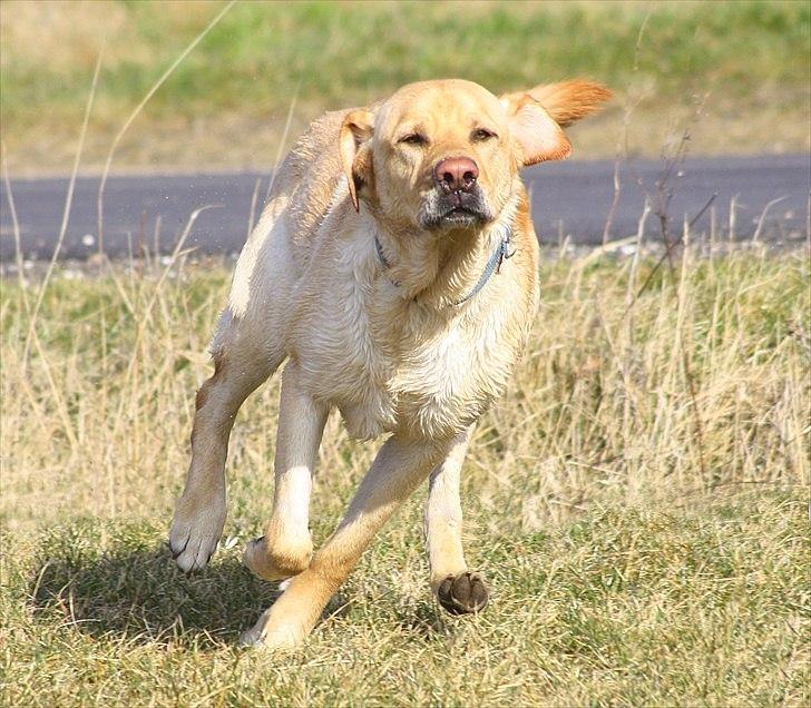 Billeder lavet/redigeret i Photoshop billede 12