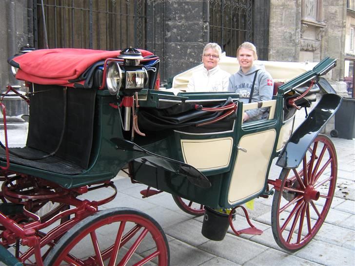 Billeder fra Wien + Den Spanske Rideskole - I vognen. billede 2