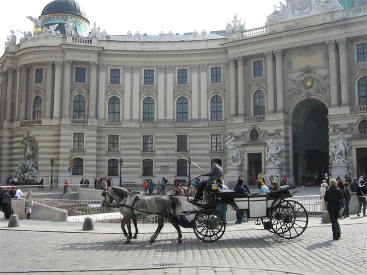 Billeder fra Wien + Den Spanske Rideskole - I denne bygning ligger den Spanske Rideskole billede 5