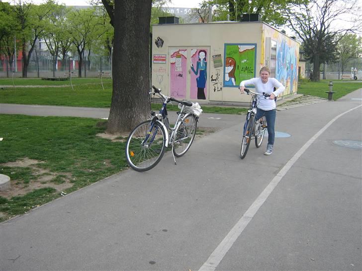 Billeder fra Wien + Den Spanske Rideskole - Vi lejede cykler på hotellet og cyklede ud til slottet Schönbrunn. billede 9