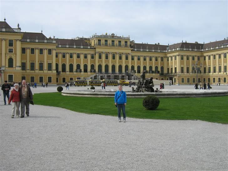 Billeder fra Wien + Den Spanske Rideskole billede 11