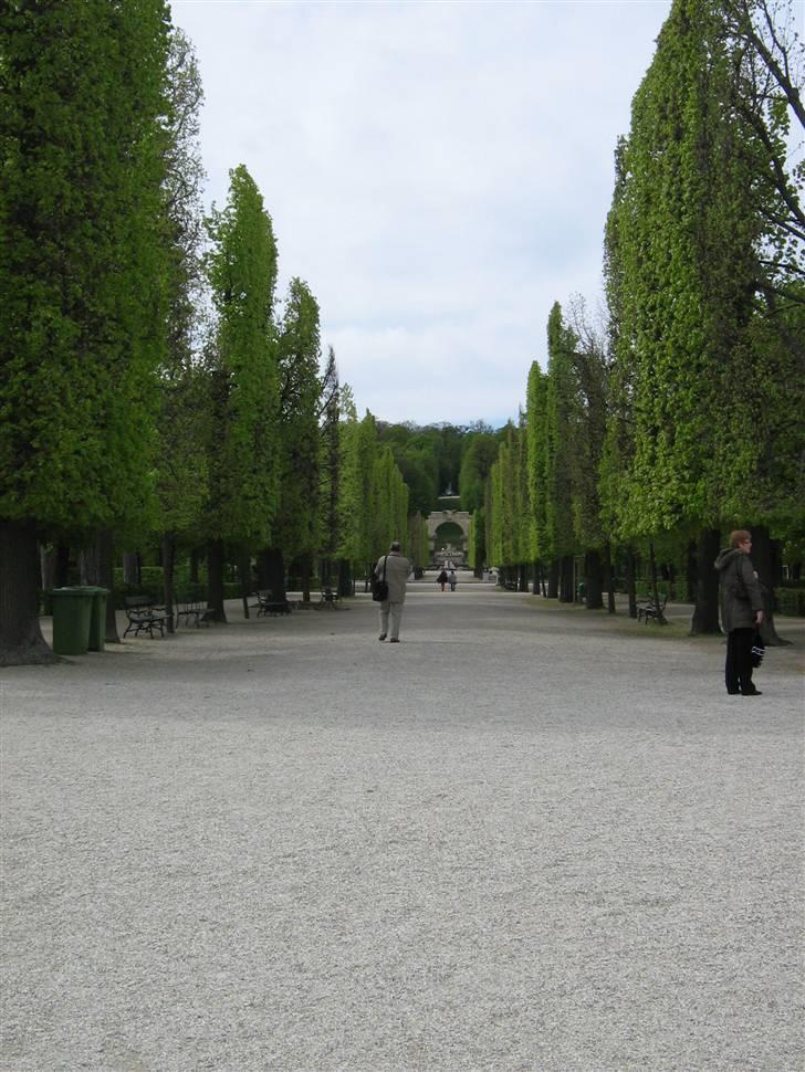 Billeder fra Wien + Den Spanske Rideskole - Slottets park, som var helt fantastisk. billede 13