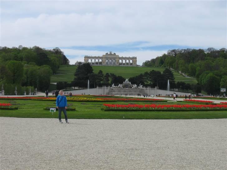 Billeder fra Wien + Den Spanske Rideskole - Parken. billede 14