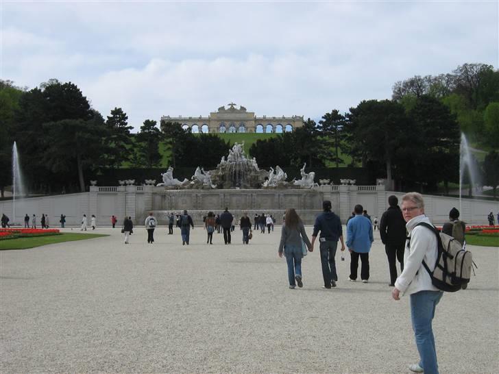 Billeder fra Wien + Den Spanske Rideskole billede 16