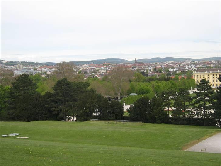 Billeder fra Wien + Den Spanske Rideskole - Ud over byen. billede 18