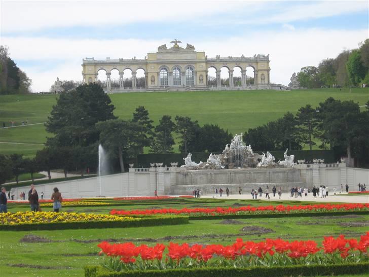 Billeder fra Wien + Den Spanske Rideskole billede 19