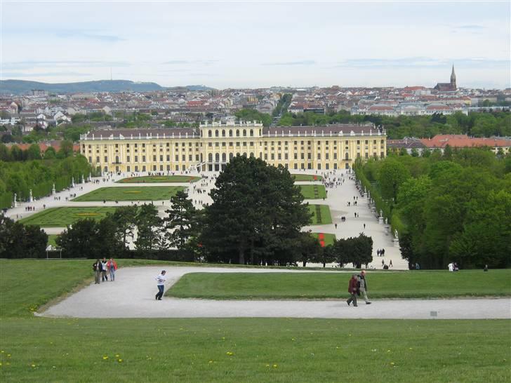 Billeder fra Wien + Den Spanske Rideskole billede 20