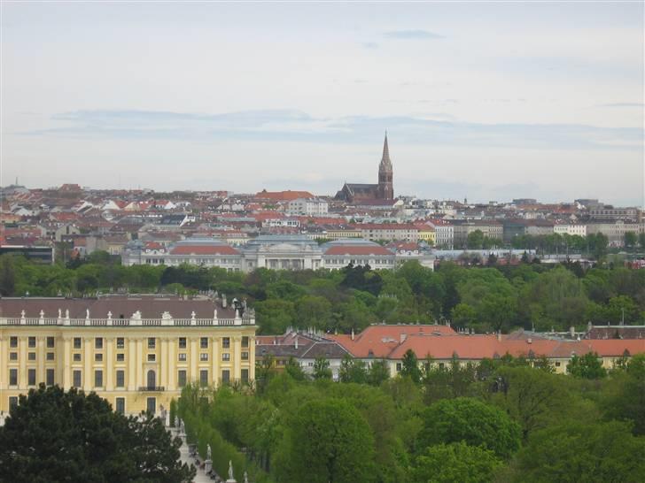 Billeder fra Wien + Den Spanske Rideskole - Vi boede nær den kirke. billede 21