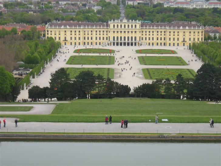 Billeder fra Wien + Den Spanske Rideskole billede 22