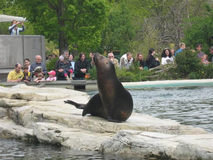 Billeder fra Wien + Den Spanske Rideskole - Cute :) billede 26