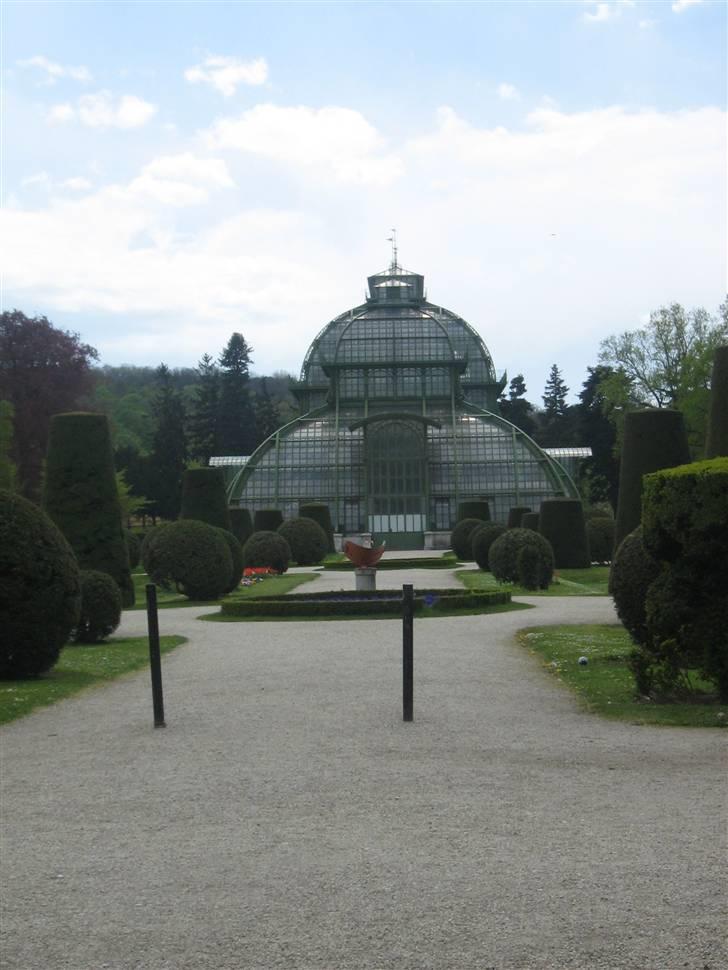 Billeder fra Wien + Den Spanske Rideskole - Meget flot drivhus. billede 39