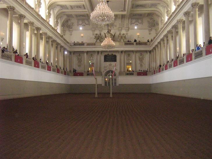 Billeder fra Wien + Den Spanske Rideskole billede 42