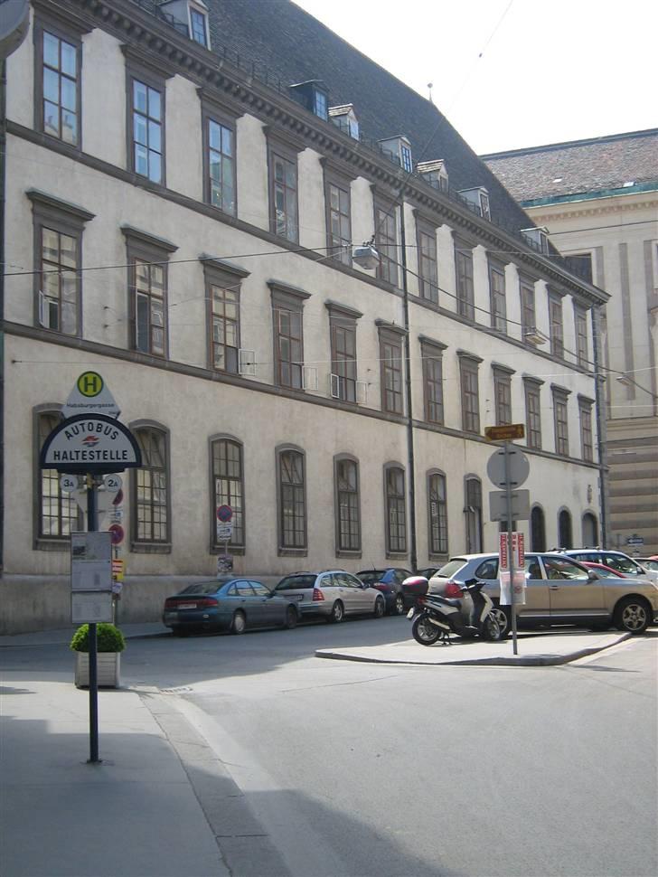 Billeder fra Wien + Den Spanske Rideskole - Inde bag disse vinduer bor de smukke Lippizanner heste. billede 45