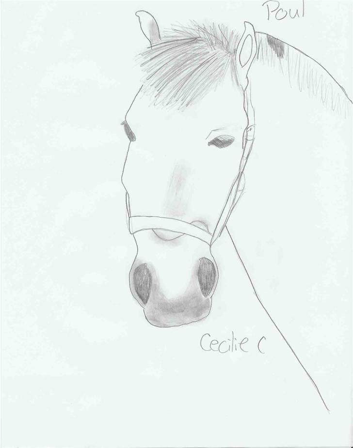 Tengninger til andre - Poul billede 4