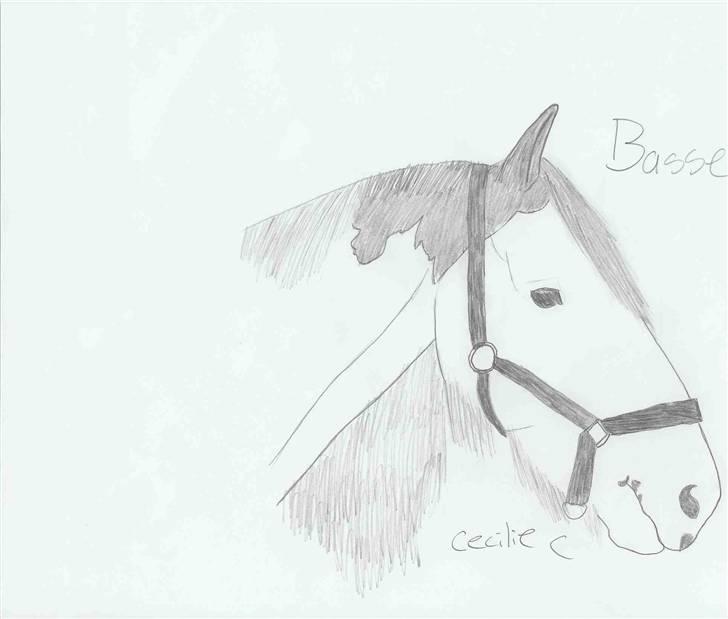 Tengninger til andre - Basse billede 6