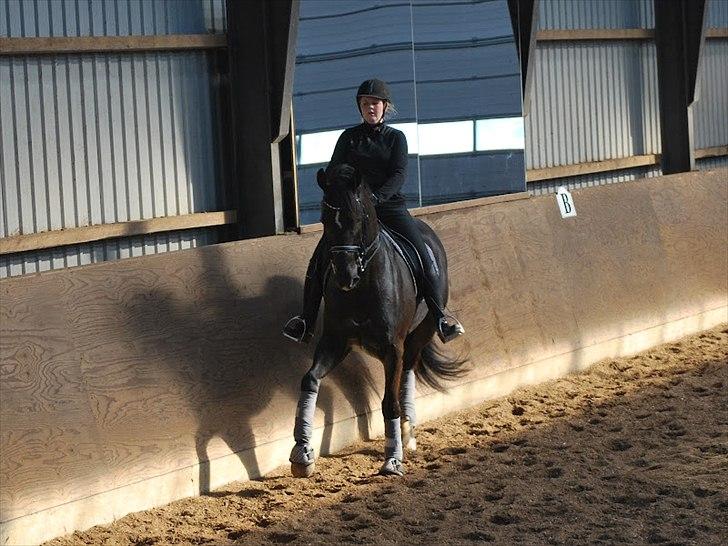 Sune Hansen Kursus - Trav ( Lotte M har taget billedet) billede 4